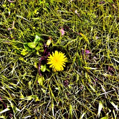 Kingdom Gone (At The Gates cover)