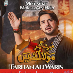 Zakhmi Hai Sakina | Farhan Ali Waris | Noha 2024 -2025.mp3