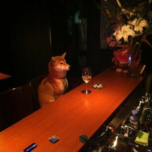 Seize Jun.21 Snippet