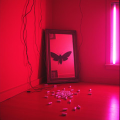 Black Moth All I Ever Wanted 2