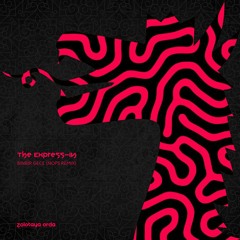 FREE DOWNLOAD: The Express-IN - Binbir Gece (Nops Remix)