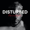 Download Video: Disturbed [FREESTYLE]