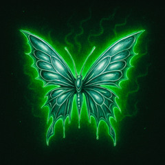 BUTTERFLY 360