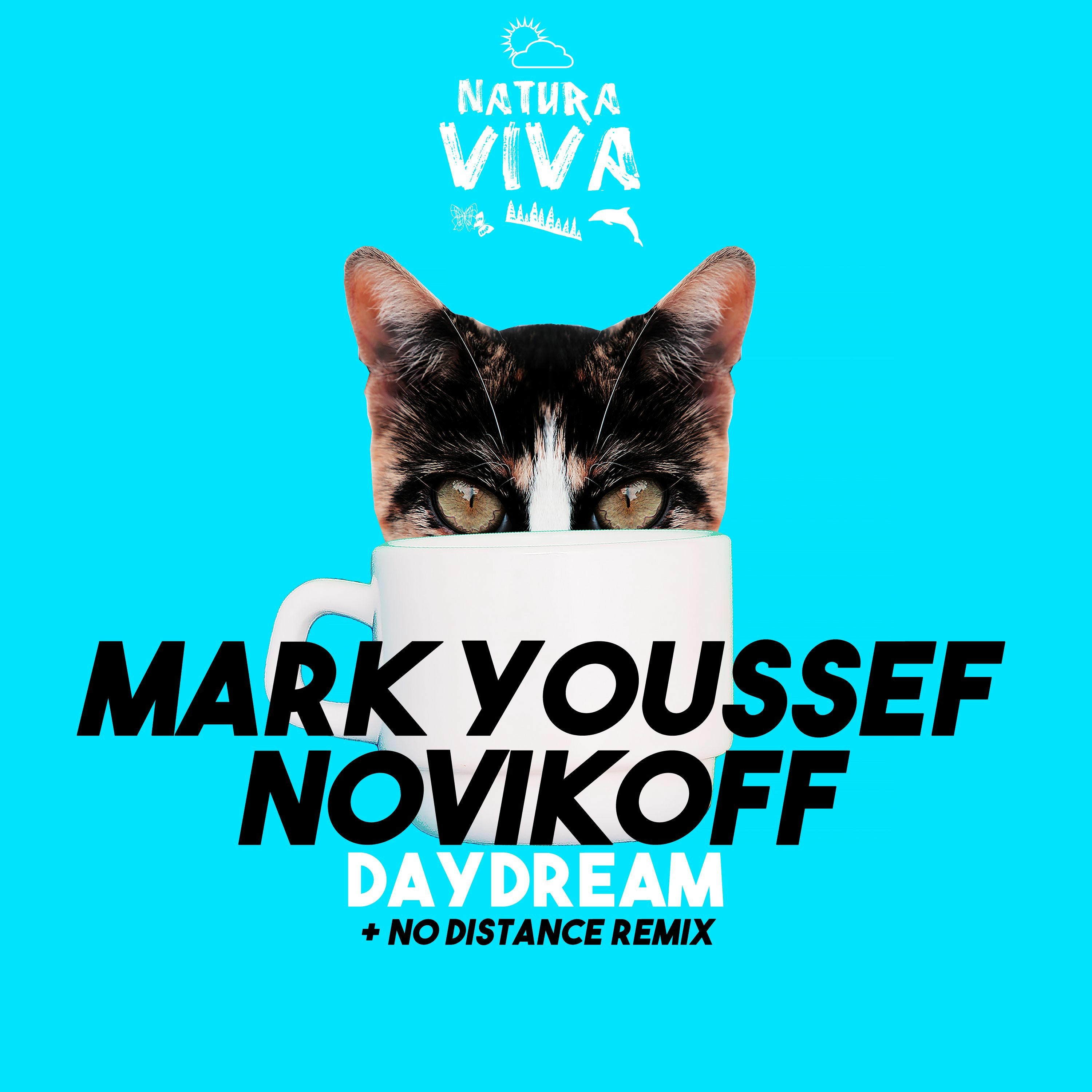 Mark Youssef