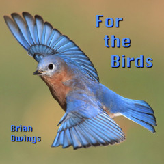 Brooklyn - For the Birds (remaster)