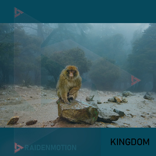 KINGDOM