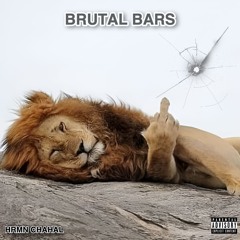 BRUTAL BARS