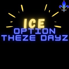 OPTION THEZE DAYZ