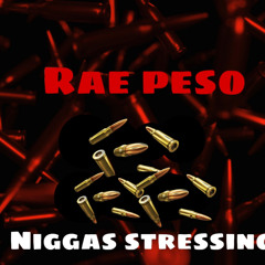 RAE PESO - NIGGAS STRESSING