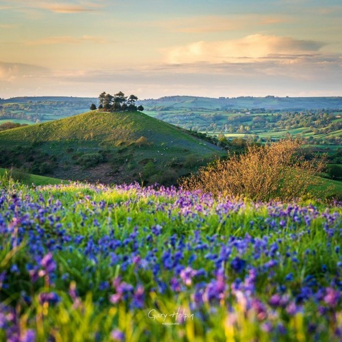 Iridescence (feat. Benny Marx)