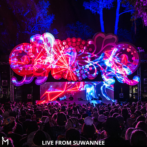 Tipper and Friends Suwannee 2025 (Full Set)