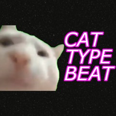 Cat Type Beat