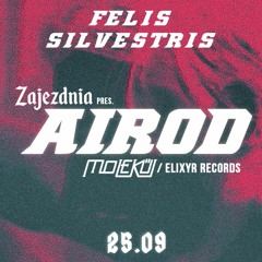 FELIS SILVESTRIS @ Zajezdnia pres. Airod / CIAŁO - 25.09.2020