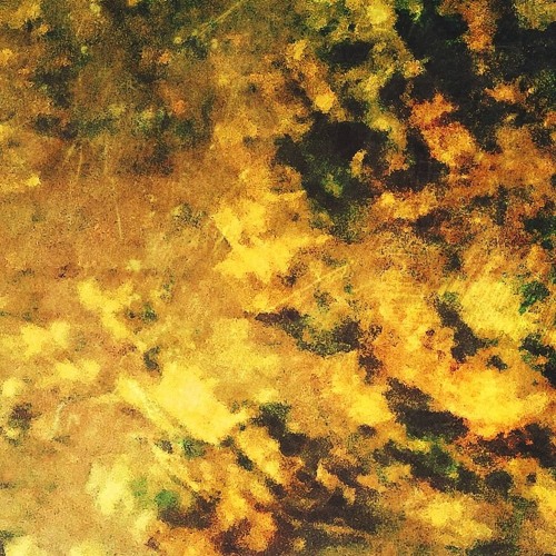 seasonal changes