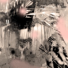 System Belief