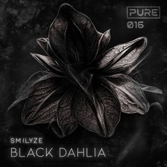 BLACK DAHLIA [PURE-016]