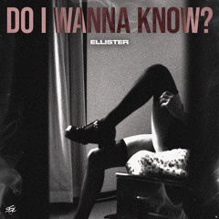 Ellister - Do I Wanna Know?