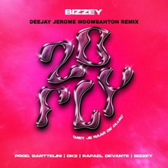 Bizzey - Zo Fly (Deejay Jerome Moombahton Remix)