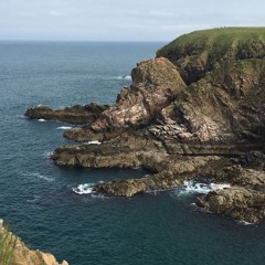 Buller's Edge Live (Live) - Dear Alba