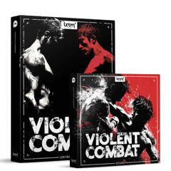 VIOLENT COMBAT | Demos