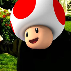 TOAD SINGS ALL STARS