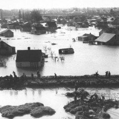53 Floods Canvey Stevens & Braine