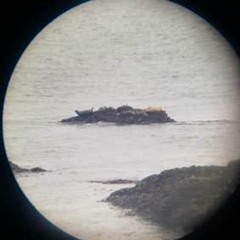 Lying on the edge of a cliff listening and watching seals