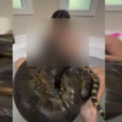 New EXCLUSIVE) One Girl 50 Snake Viral Clip