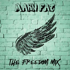 the freedom mix