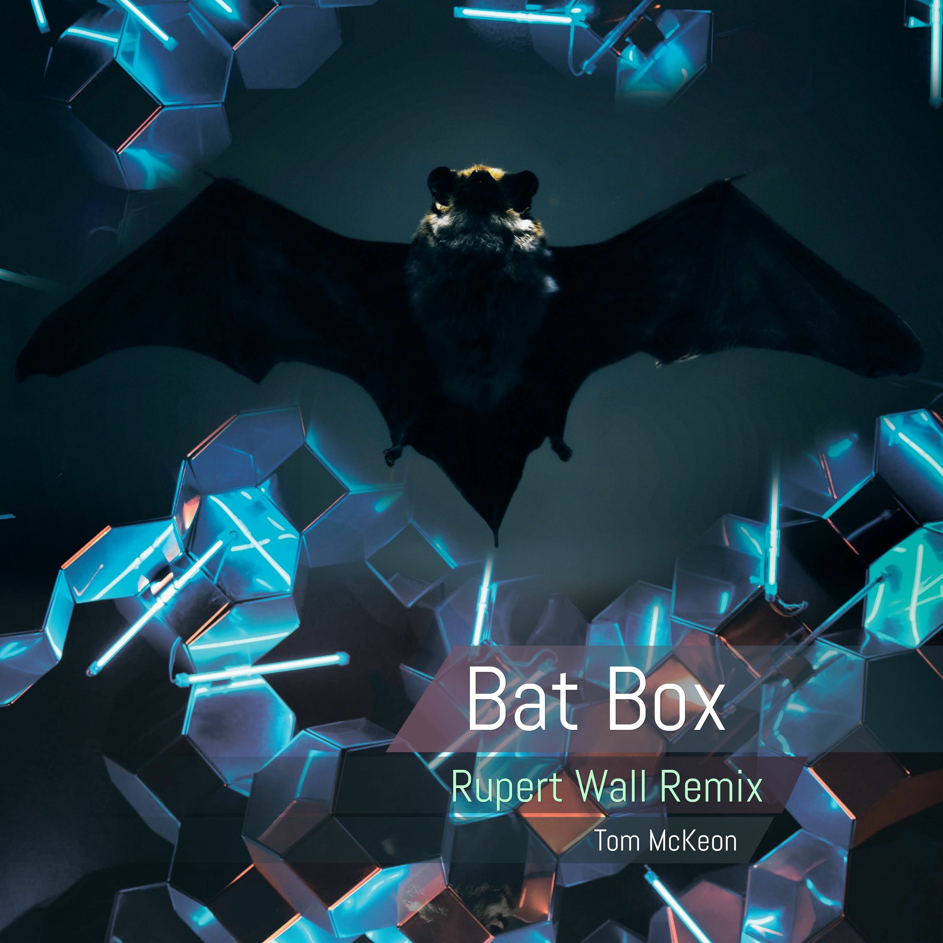 Bat Box (Rupert Wall Remix) episode artwork