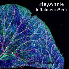 Infiniment petit