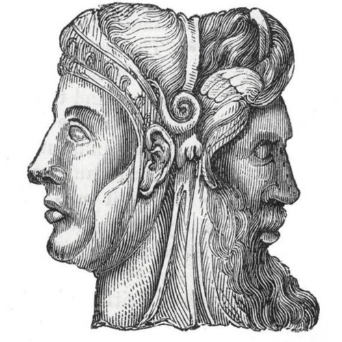 The Janus Experiment
