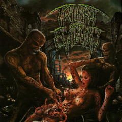 Number of Death