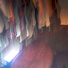 Daily Drop #4785 - Test Prep