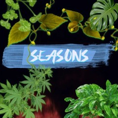 SeasonS