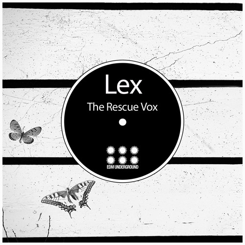 The Rescue Vox (Original Mix)
