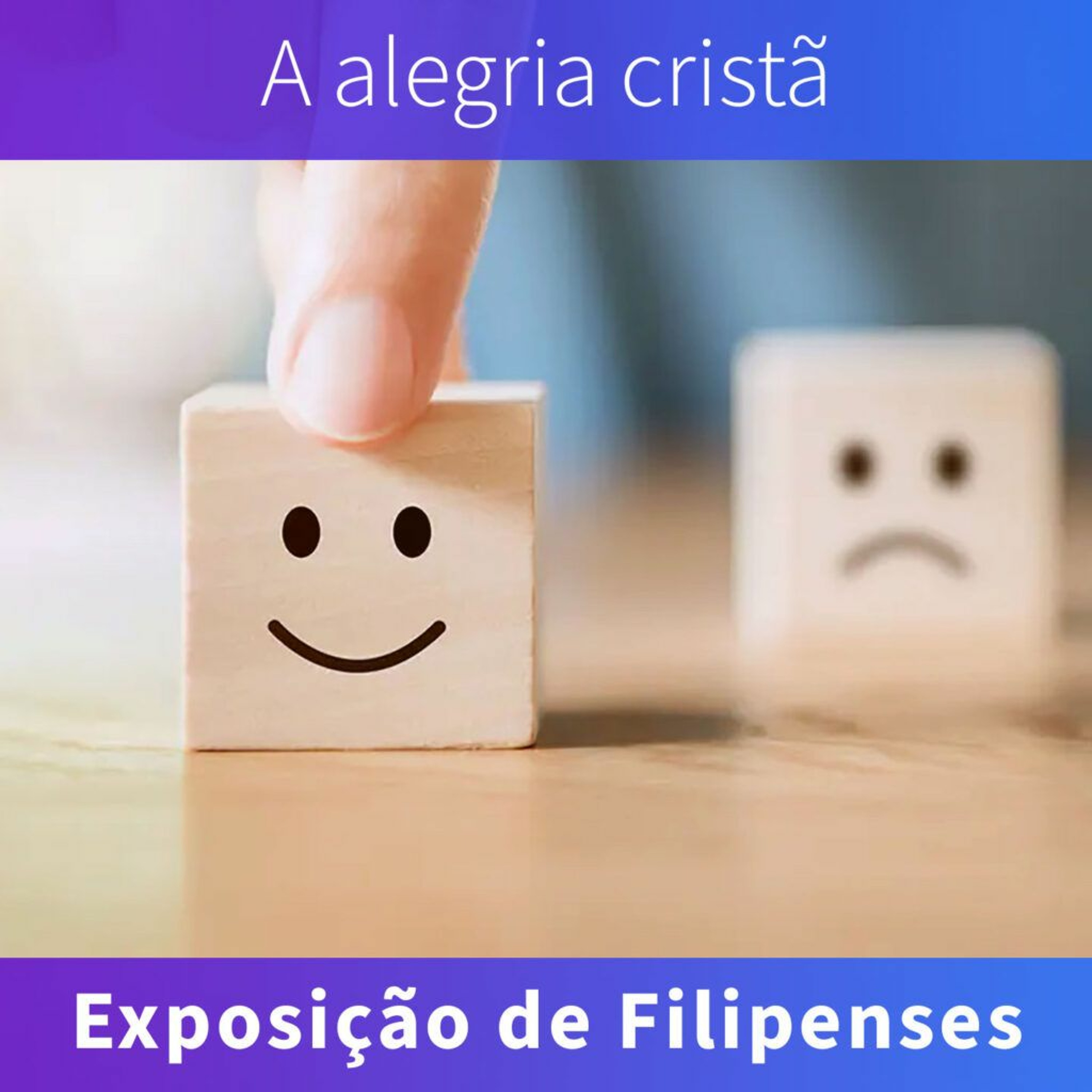 IPB Rio Preto