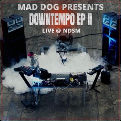 MAD DOG Presents: DOWNTEMPO LIVE @ NDSM