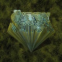 PREMIERE: The Carry Nation - The Woods (Love Child)