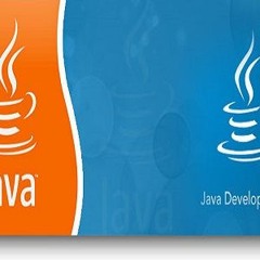 Shahab Mir - Contact For Website Development & Management