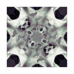 Börscht x Without The San - Forgetful