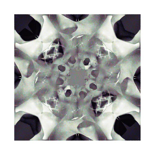 Börscht x Without The San - Forgetful