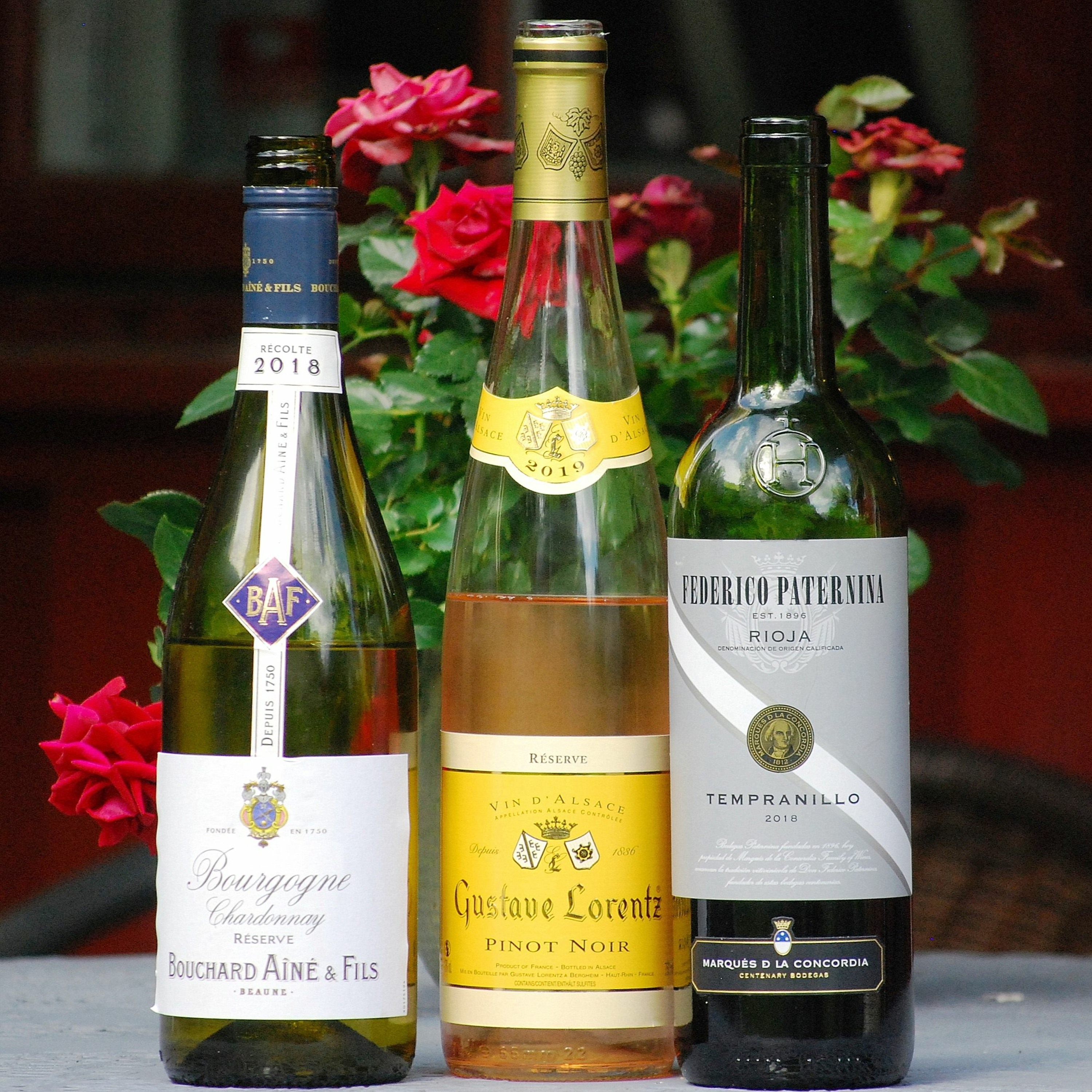 Vin- og matopplevelser