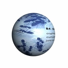 B4 - CUMULATIVE MAY BUG