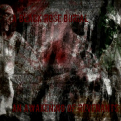 A Black Rose Burial - Straight from the Mind of a Modern Day Vigilante
