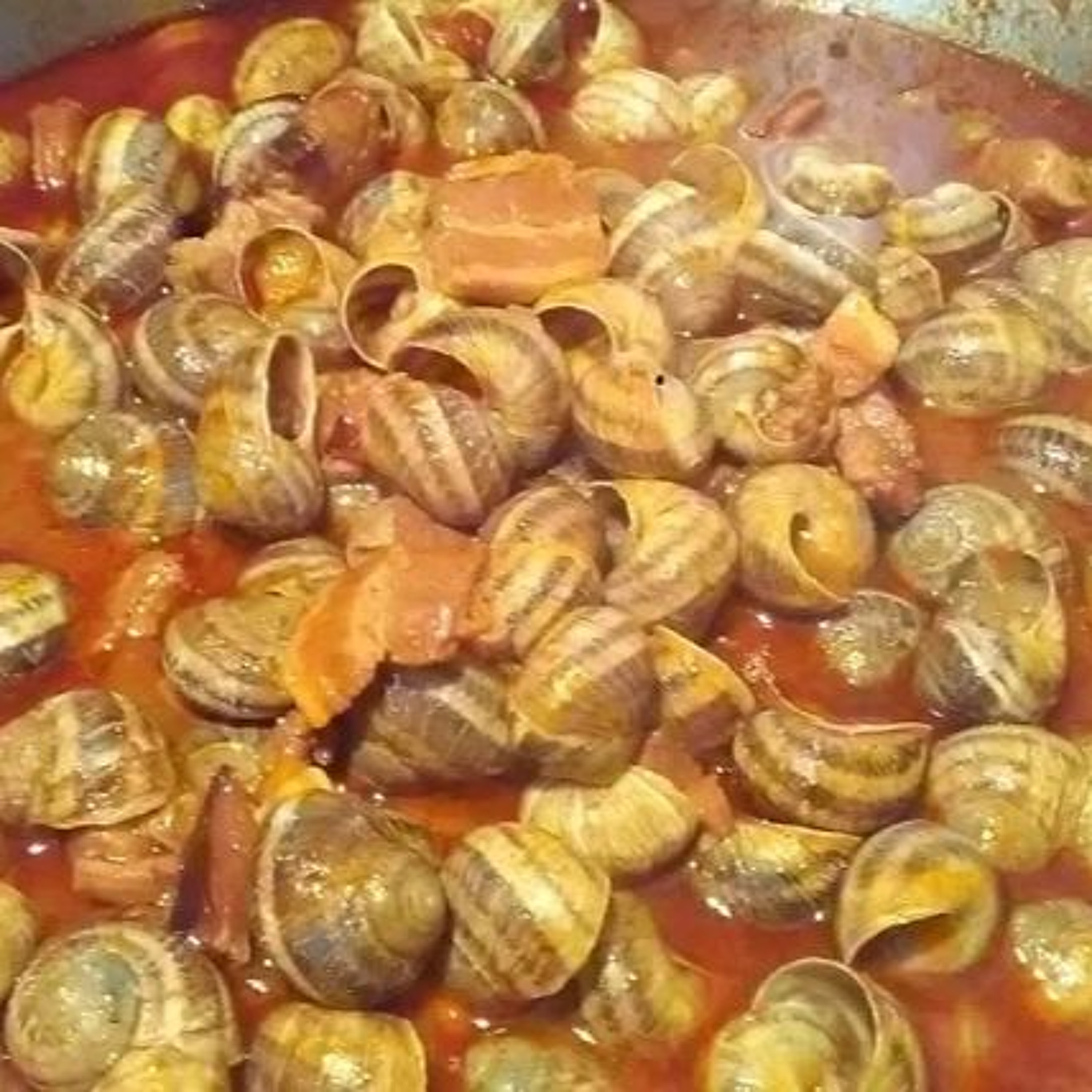 CROQ AU SEL - LES ESCARGOTS A LA CORSE episode artwork