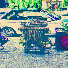 MARIAS KART