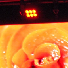 LoFi House 8.25 [99skyyy] DJ MIX