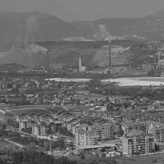 Vuk - Crno/Belo