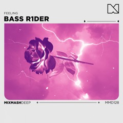 BASS R1DER - Feeling